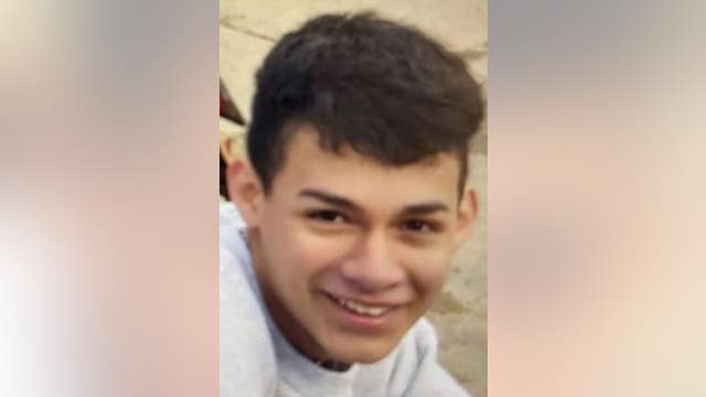 Boy, 16, reported missing from McKinley Park for over a month