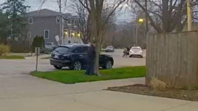 COPA shares video of shootout between off-duty cop and catalytic converter thieves