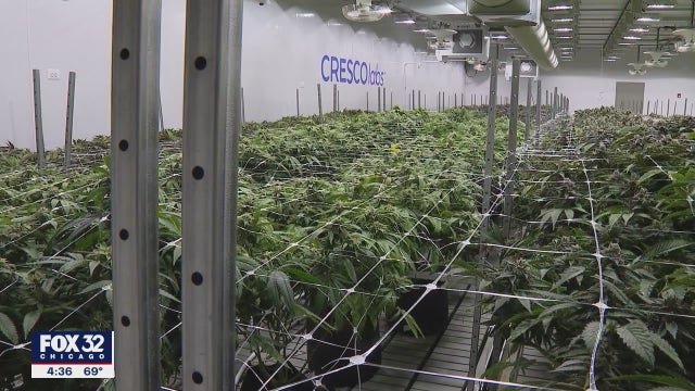 Marijuana convention kicks off in downtown Chicago