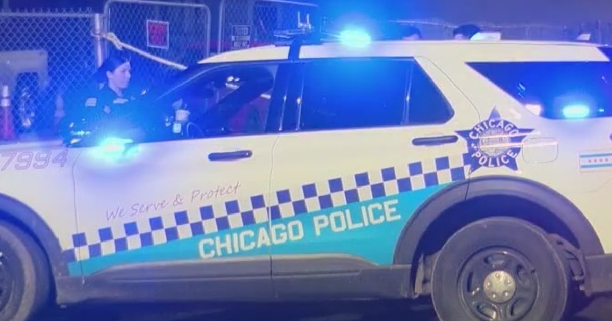 Woman found dead in Little Village alley identified | FOX 32 Chicago