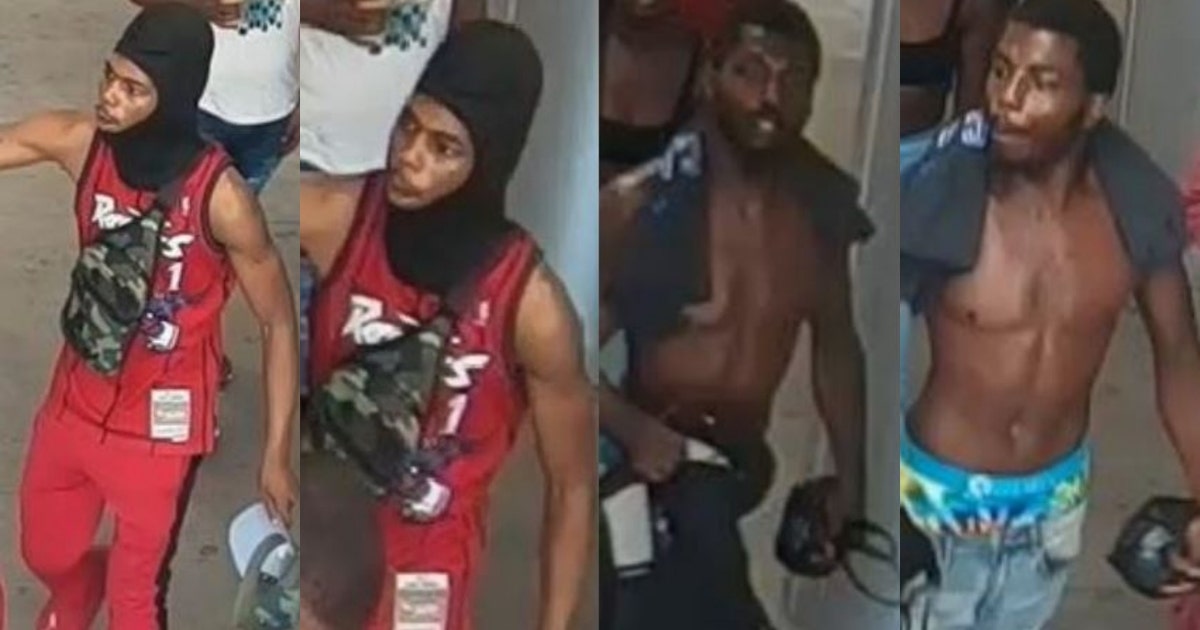 Chicago police seek men in connection with armed robbery on CTA Red ...