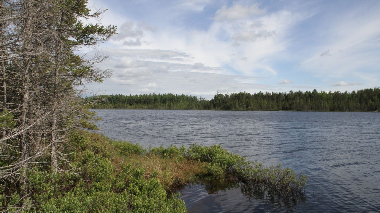 Michigan auctioning off thousands of acres across the state, includes lakefront and UP land - Vimarsana News