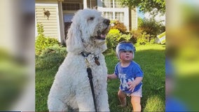 'Aidan the Hugging Golden Doodle' releasing book series for children