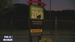 Person called crisis intervention line stating she wanted to harm Brookfield Zoo visitors, herself: police