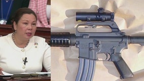 Sen. Duckworth urges lawmakers to ban civilian sale or transfer of military style rifles