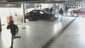 Surveillance video shows thieves breaking into Perillo BMW dealership in Chicago