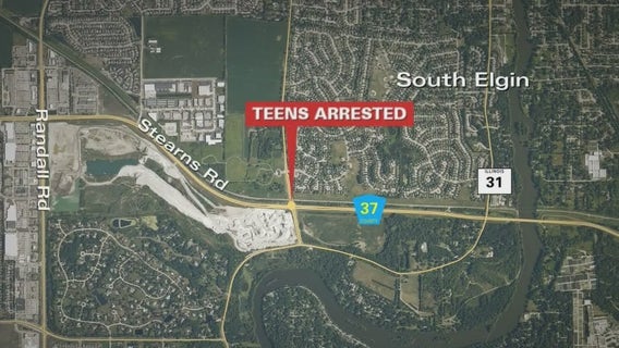 6 teens arrested in Kane County after crashing stolen BMW, police say