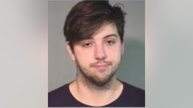 Man, 28, arrested for making threats against Bridgeview music festival: police