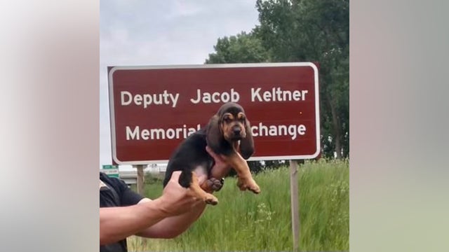 New DuPage County K9 'Jake' named after fallen Officer Jacob Keltner