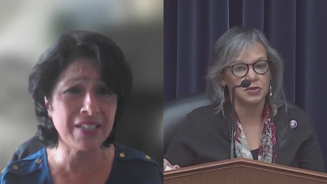 Showdown vote to settle battle for control of Illinois' Democratic Party