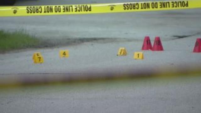 Off-duty Palos Hills police officer fatally shot man who opened fire at South Holland park: police