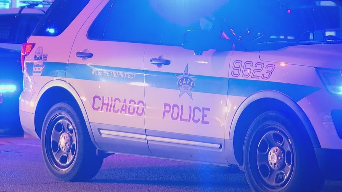 Two teenage boys arrested after 28-year-old woman carjacked at gunpoint in Chicago