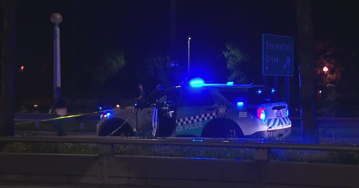 Man struck by car, critically injured after running across DuSable Lake ...