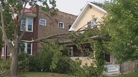 Powerful storms leave behind damage, knock out power in parts of Chicago area