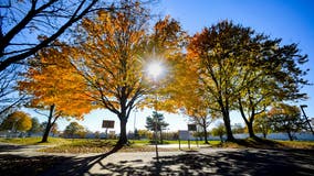 First glimpse of fall foliage predictions for the 2022 season