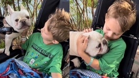 Highland Park shooting survivor Cooper Roberts eating solid foods again, reunited with pet dog