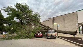 Severe weather leaves damage across Chicago area: 'like a tornado'