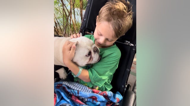 Highland Park shooting survivor Cooper Roberts, 8, remains in 'constant pain,' family says