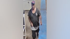 Suspect wanted for pushing woman to ground, stealing her belongings at CTA Blue Line station