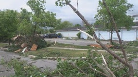 New trees to be planted in Naperville after tornado wrecks suburb