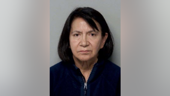 Round Lake Beach woman runs illegal dental practice out of home: police