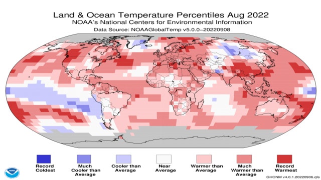 Looking back at earth's warm August and ahead with Chicago's warm forecast