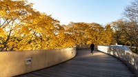 Chicago weather: Enjoying a warm, sunny day before rain chances return