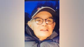 Man, 69, reported missing from Brighton Park