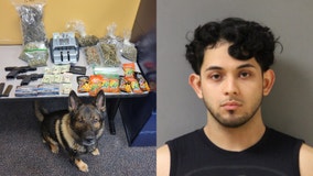 Niles man charged after police find guns, cash and cannabis at residence