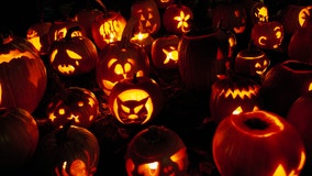 Chicago fall fun guide: Pumpkin patches, corn mazes and Halloween thrills