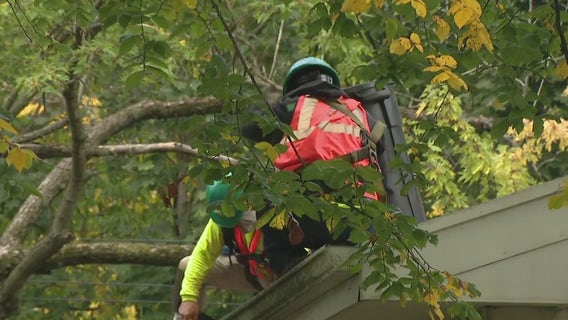 Chicago Heights veteran gifted new roof from Habitat for Humanity: 'Thank you'