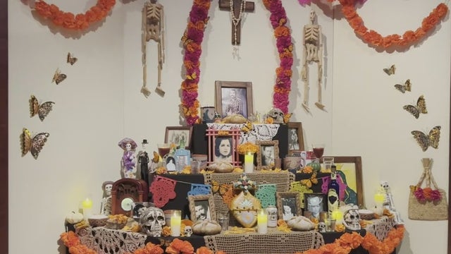 New Field Museum exhibit explores life's greatest mystery — death