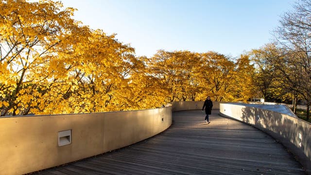 Chicago Autumn Forecast: New models detail season's weather trends