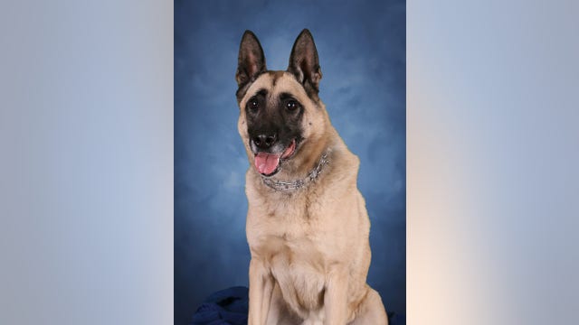 Indiana State Police K9 Zeus euthanized due to sudden illness