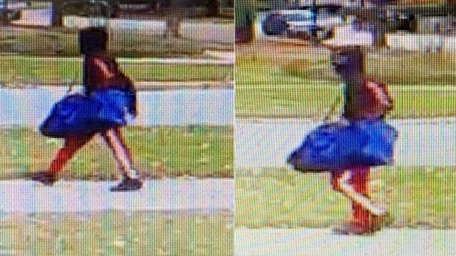 Man armed with gun robs mail carrier in Matteson: officials