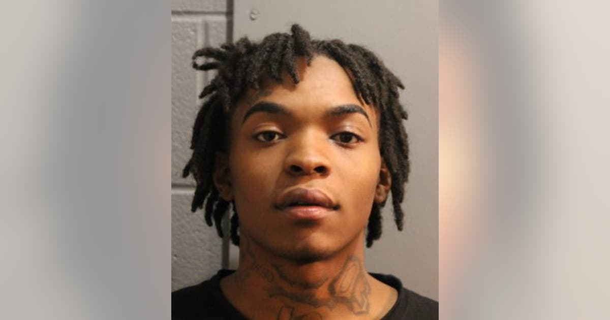 Teens charged with armed robbery, carjacking in downtown Chicago | FOX ...