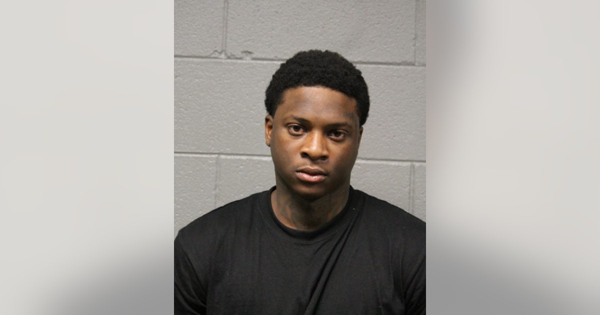 Chicago man charged with kidnapping, carjacking after allegedly ...