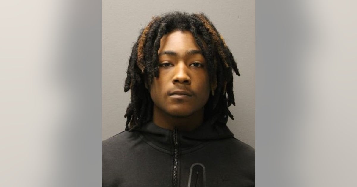 Cook County man charged with fatally striking woman on shoulder of I-94 ...