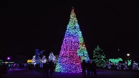 Brookfield Zoo's Holiday Magic light festival to open on November 25