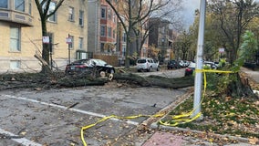 Strong winds knock down trees all over Chicago area, leaving thousands without power
