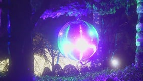 Lightscape returns to the Chicago Botanic Garden