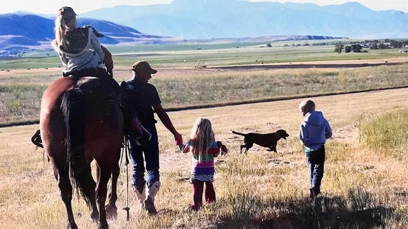 Utah horse returns home to owner after 8 years of running with wild mustangs: 'It’s a miracle'