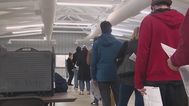 2022 Illinois Midterm Election: Long lines in DuPage County on last day of early voting