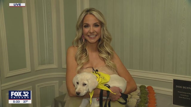 PAWS Chicago hosts annual Fur Ball benefiting homeless pets