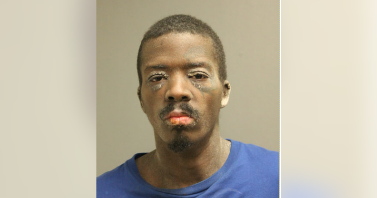 Chicago man charged with attempted murder after pushing woman off CTA ...