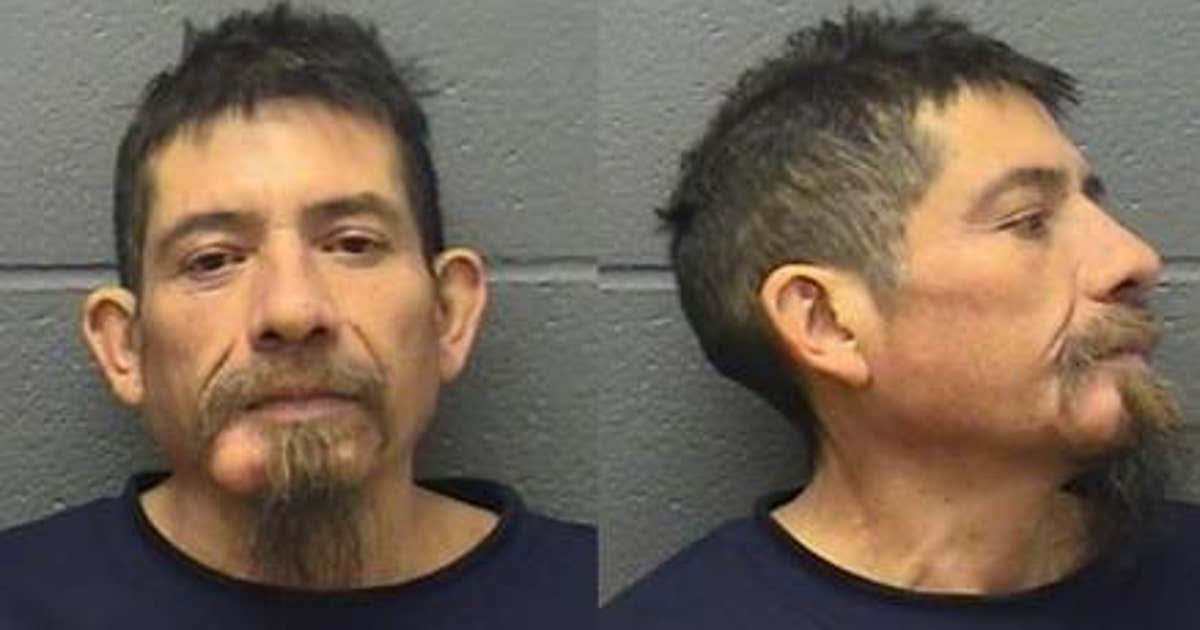 Elgin man accused of stabbing his brother to death | FOX 32 Chicago