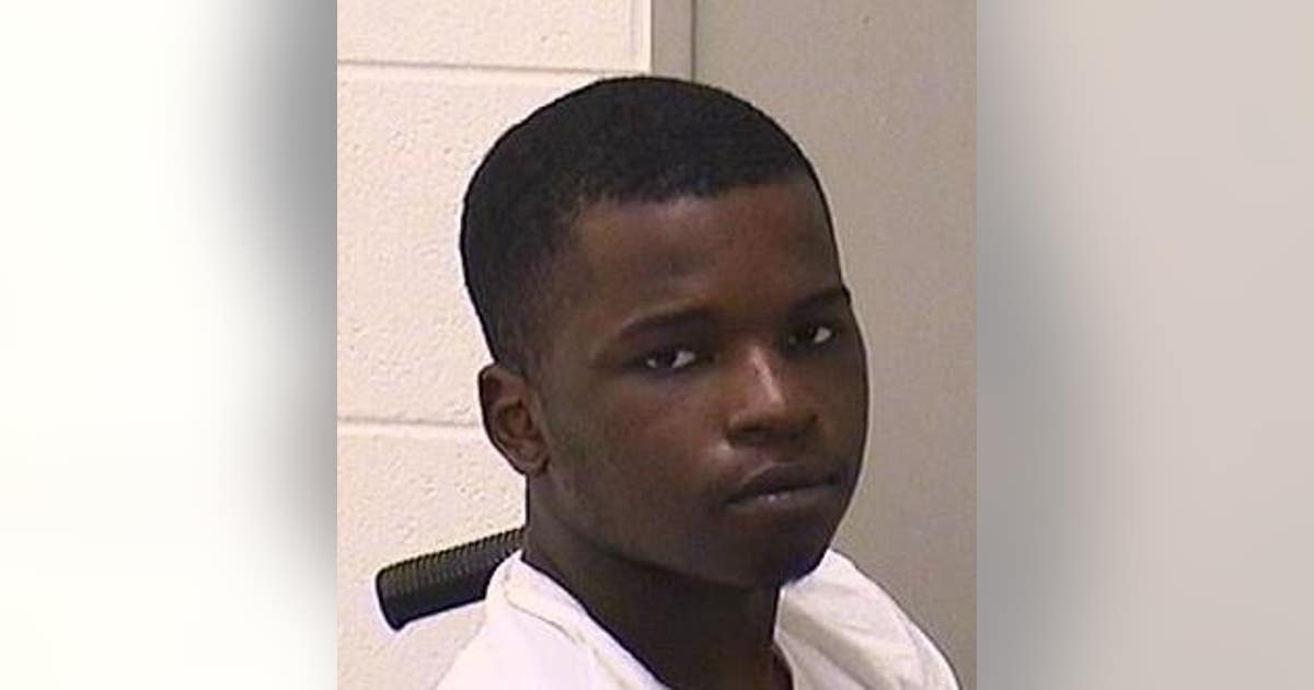 Elgin man sentenced to 12 years for crashing vehicle while street ...