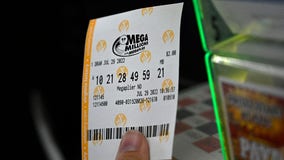 What are the Mega Millions numbers? Friday night's drawing revealed