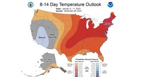 Strapped in for Chicago's rollercoaster temperature ride?