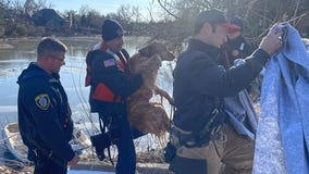 Watch: Oklahoma firefighters rescue dog stuck in frozen lake